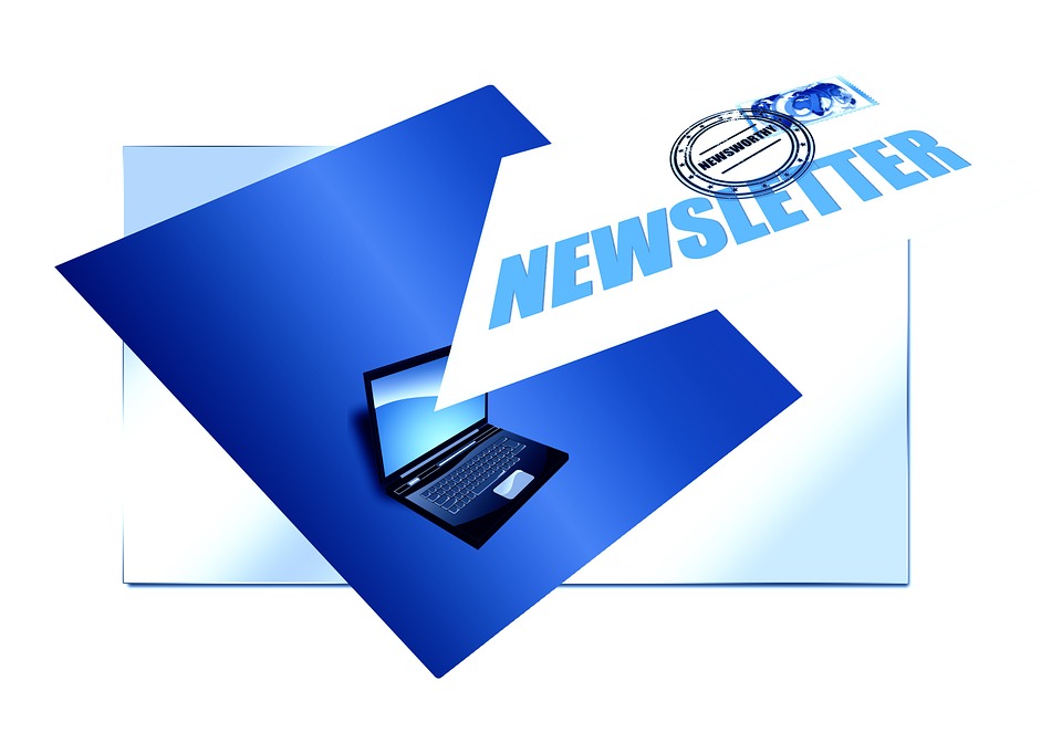 newsletter negocio